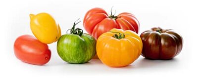 vrijstaande-eminent-tomaten
